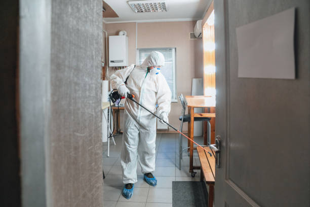 Mold Odor Removal Services in East Freehold, NJ