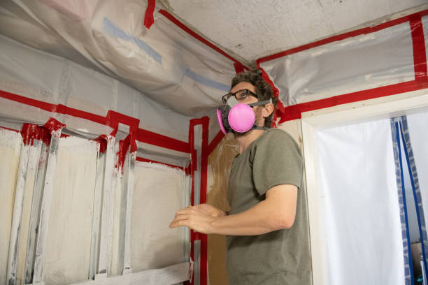 Best Industrial Mold Remediation  in East Freehold, NJ